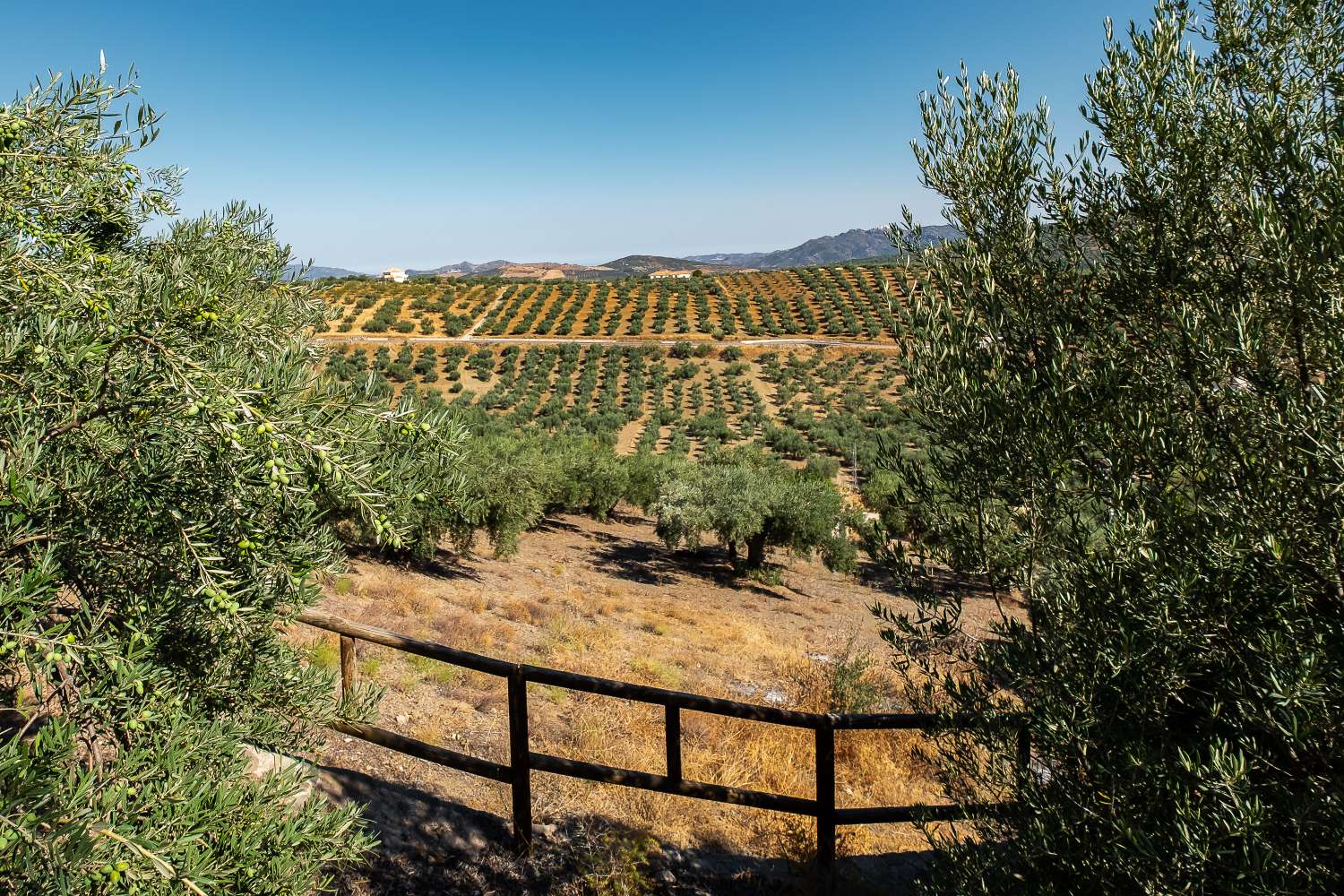 Bonito y original cortijo situado en Riogordo con preciosas vistas al campo y a la montaña