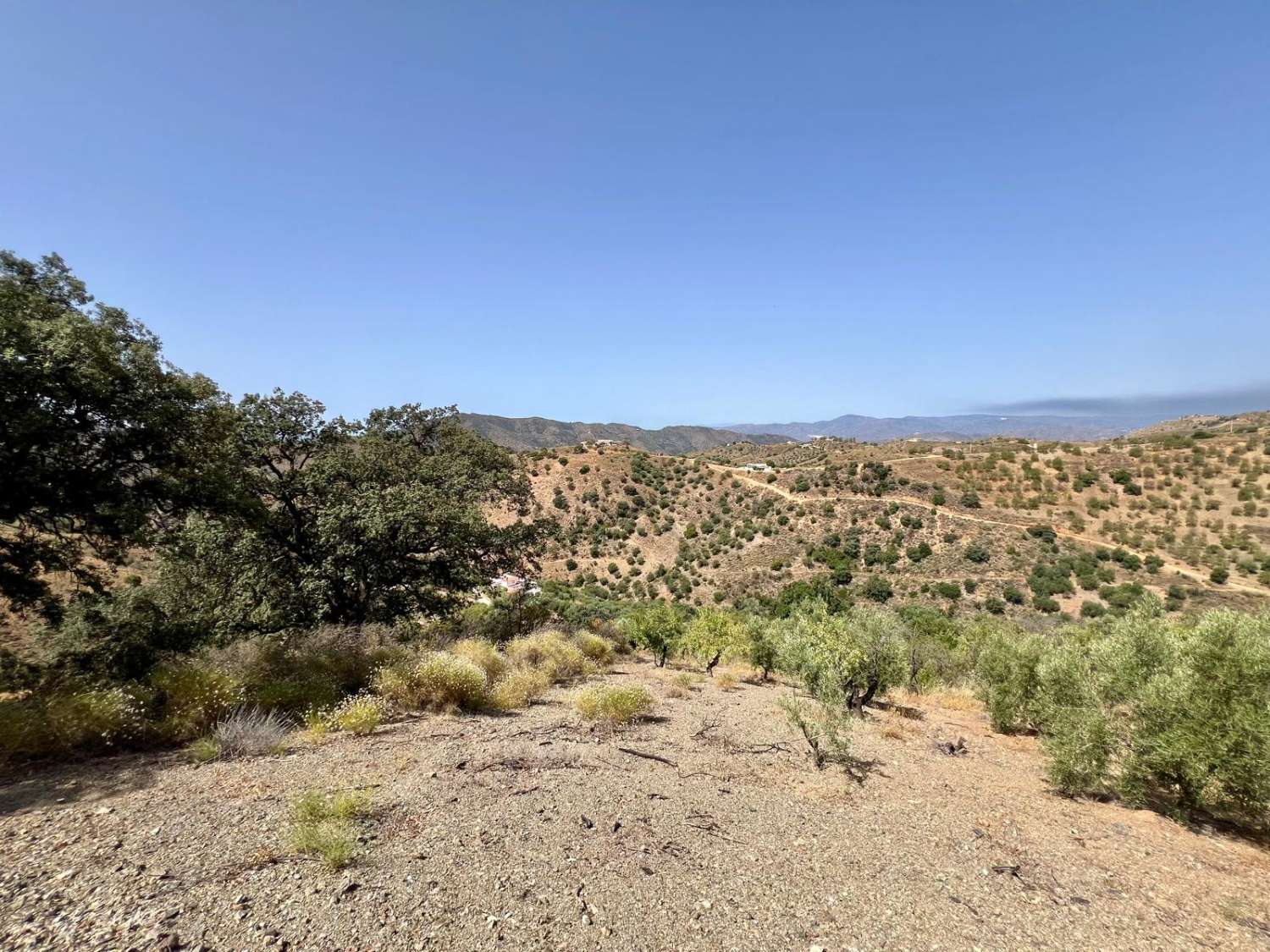 Parcela en Sedella en un paraje tranquilo con preciosas vistas a la montaña.