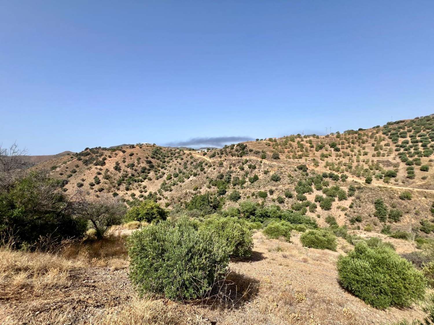 Parcela en Sedella en un paraje tranquilo con preciosas vistas a la montaña.