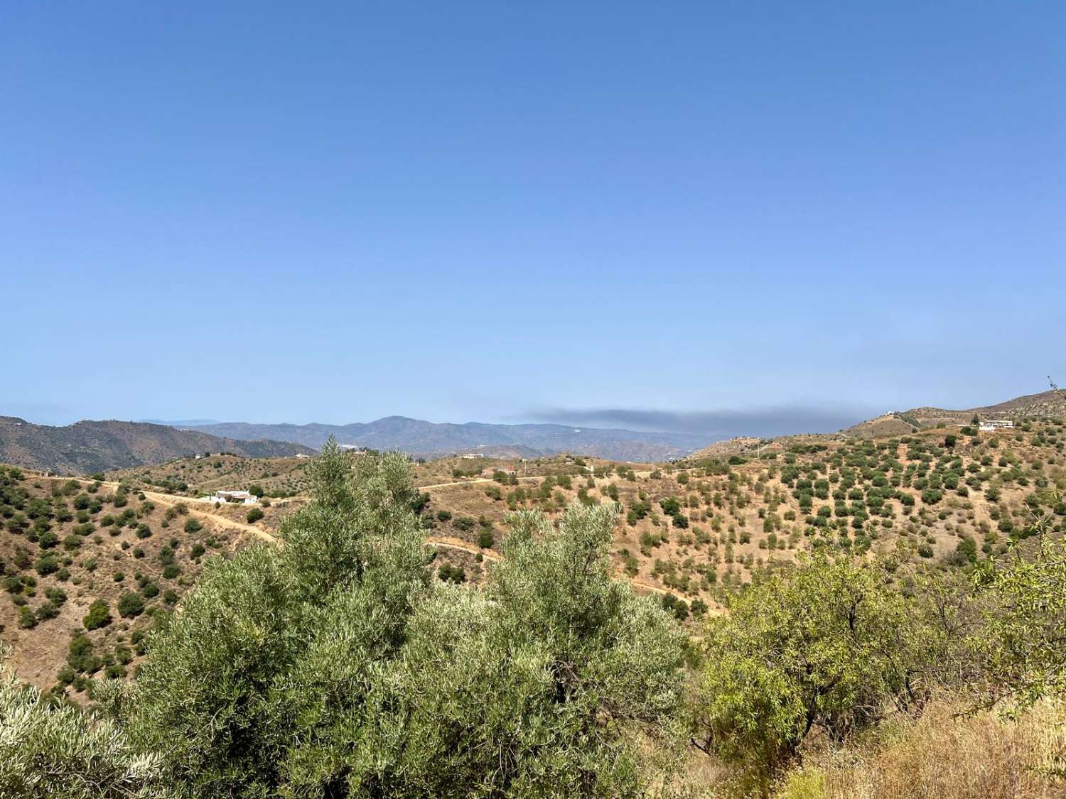 Parcela en Sedella en un paraje tranquilo con preciosas vistas a la montaña.