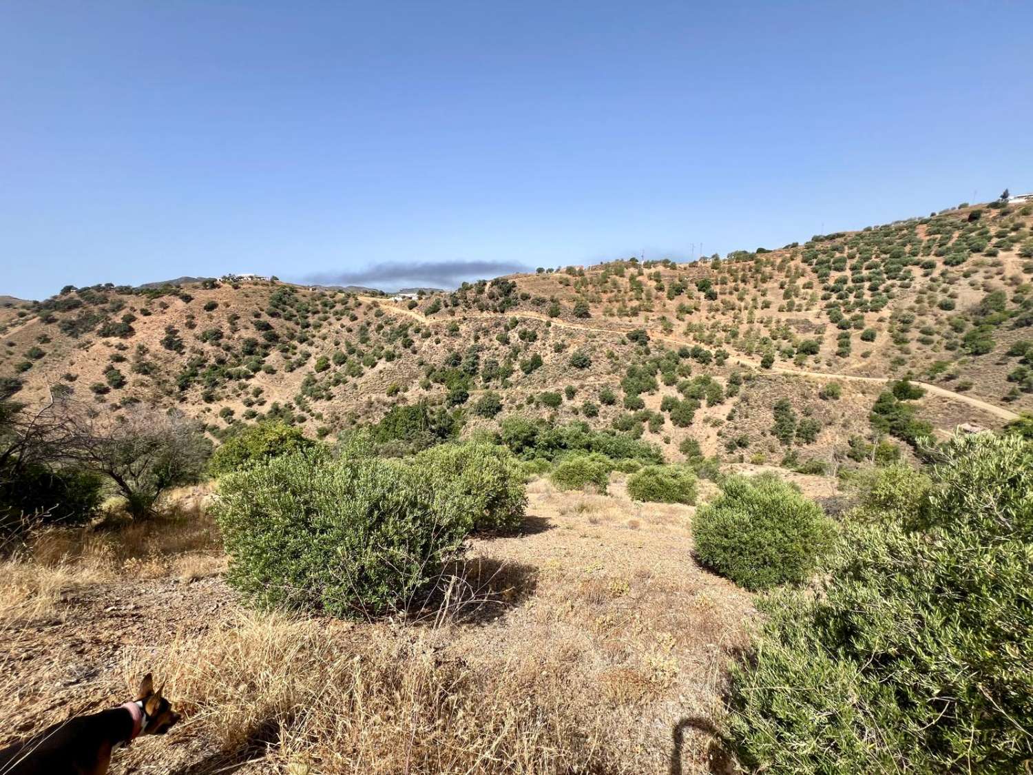 Parcela en Sedella en un paraje tranquilo con preciosas vistas a la montaña.