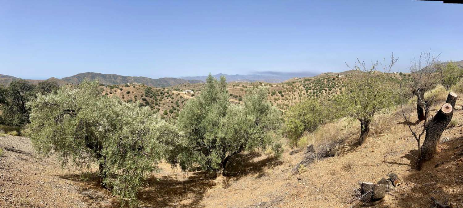 Parcela en Sedella en un paraje tranquilo con preciosas vistas a la montaña.