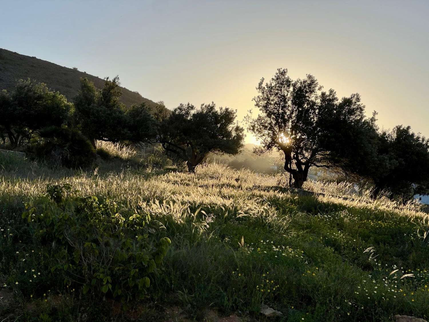 Parcelle en vente à Nerja